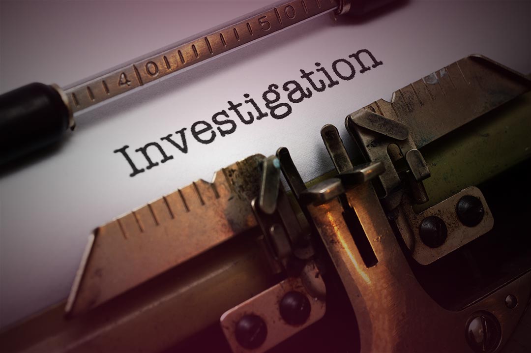 investigate investigate
